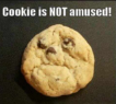 cookie Avatar