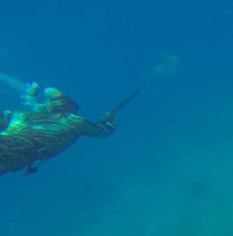 photo 10532382_682410485167384_3524453703728047609_n.jpg