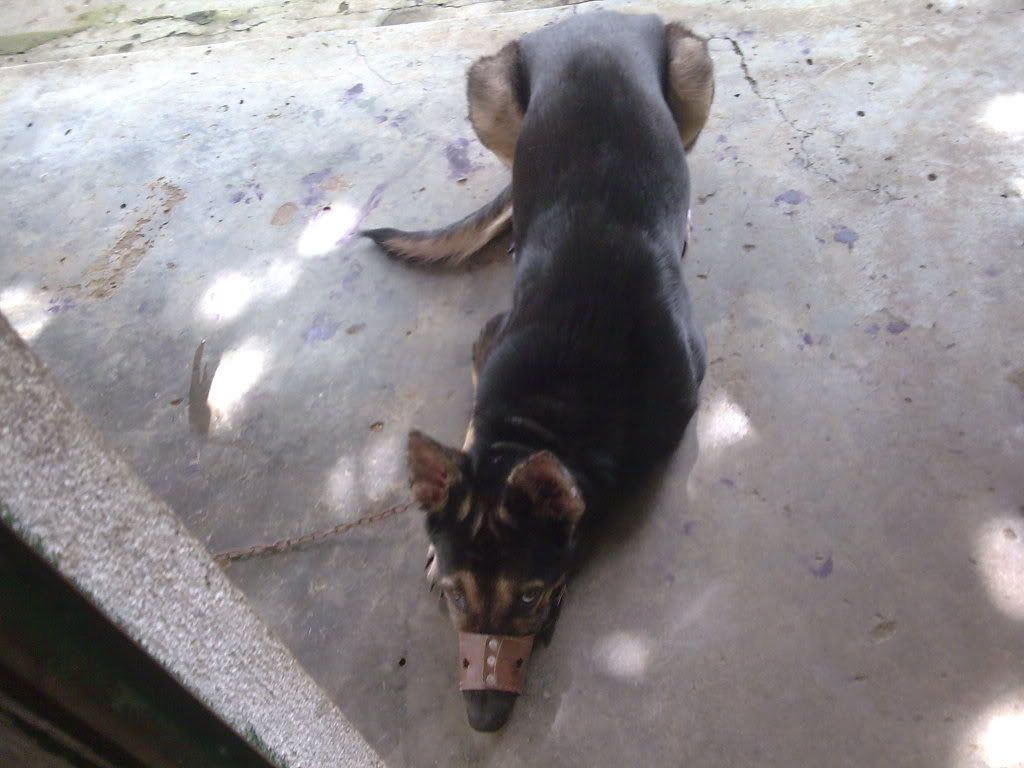 Đội Hiến máu Cấp cứu cho bệnh nhân - Anh Chị Em cần khẩn cấp, xin liên hệ!