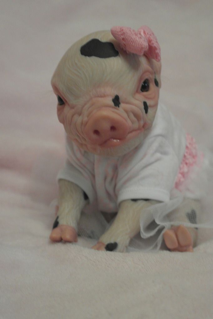 pig reborn doll