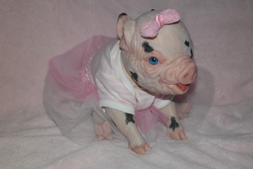 pig reborn doll