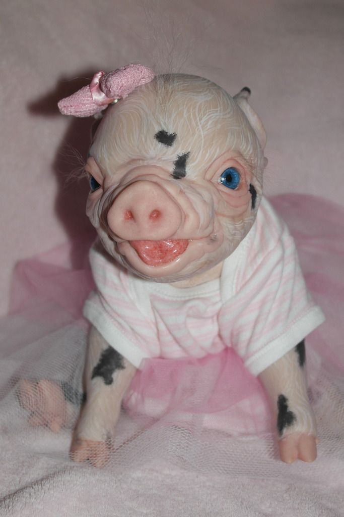 pig reborn doll