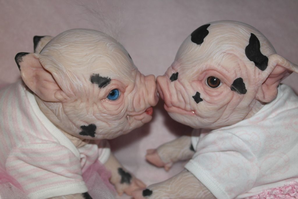 pig reborn doll