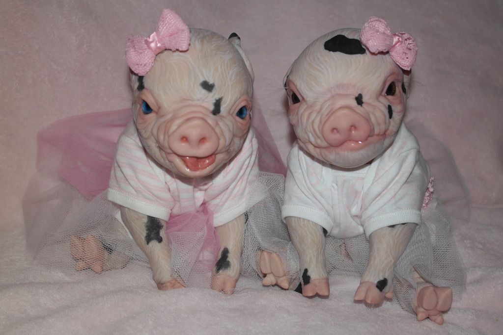 pig reborn doll