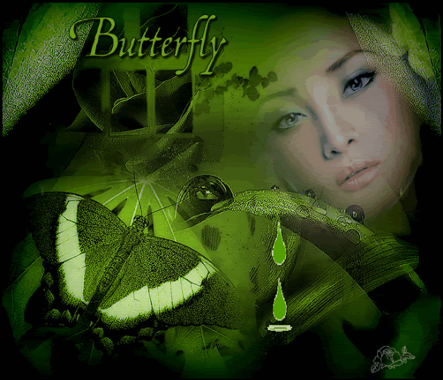 butterfly2-1.gif picture by irenkesabo