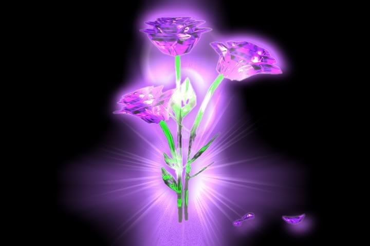 imvu purple rose