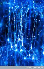 neurons,blue,background