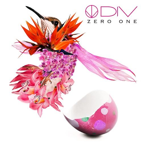 DIV - ZERO ONE DVD付初回生産限定盤