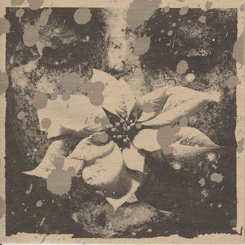 D'espairsRay - 凍える夜に咲いた花