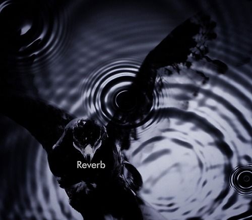 黒夢 - Reverb(初回限定生産盤)