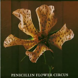 PENICILLIN - Flower Circus