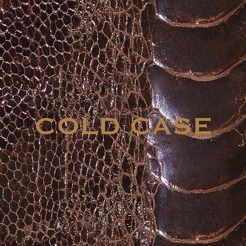 vistlip - COLD CASE (初回生産限定盤)