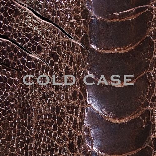 vistlip - Cold Case [vister] 