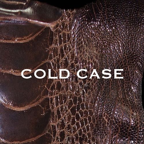 vistlip - COLD CASE 【lipper】