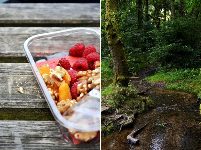 Dolby Forest Trip Wald Berries