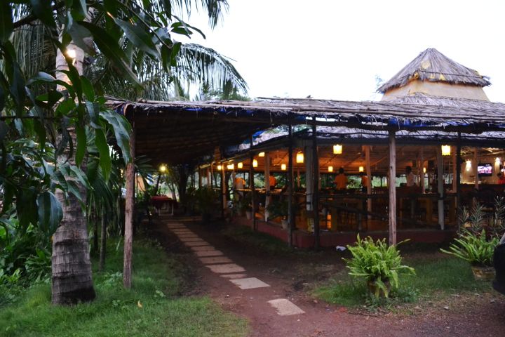 Goa Fat Fish