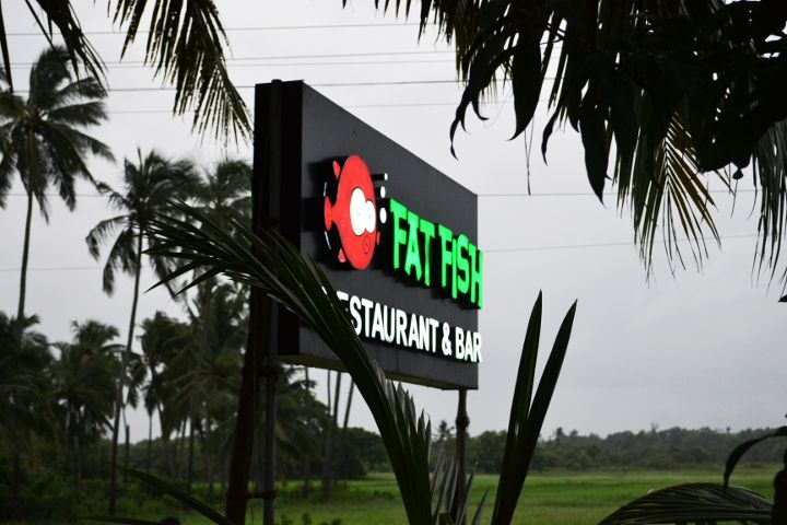Goa Fat Fish