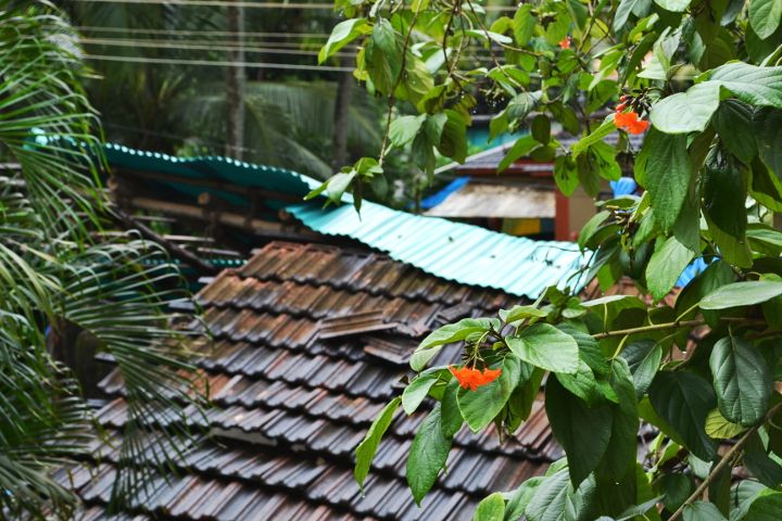 Goa