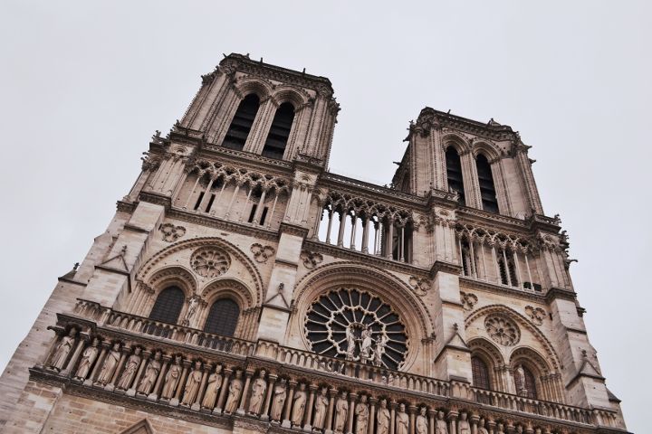 Paris notredame Travelling Traveling