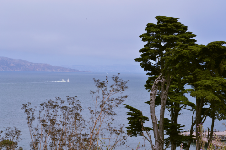 California Kalifornien San Francisco