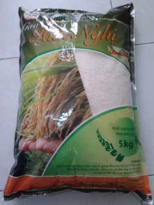 Đại lý gạo Thái Thông- Chuyên cung cấp gạo Vibigaba và gạo Vĩnh Bình.