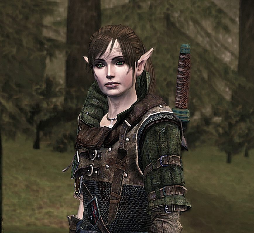 my_dalish_warden_by_wargaron-d6jur8p.jpg
