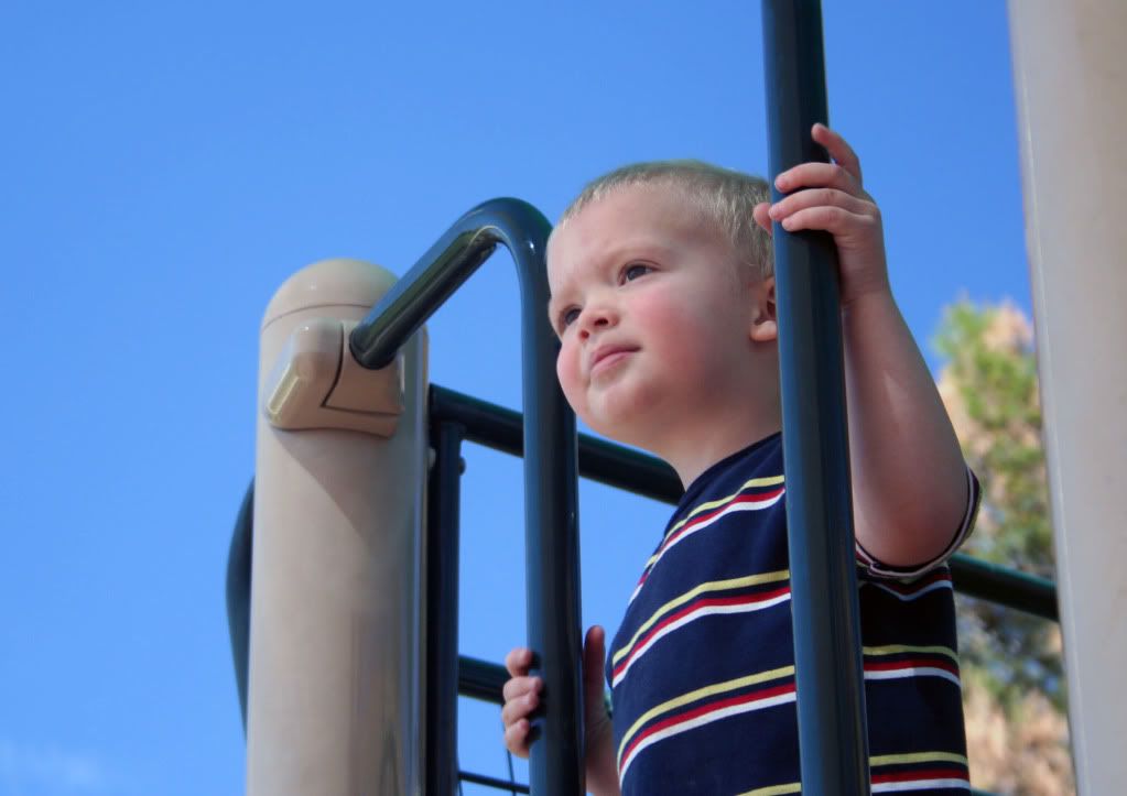 IMAGE: http://i844.photobucket.com/albums/ab9/JediMcAndrew/Messing%20around%202010/IMG_0069a.jpg?t=1271089984