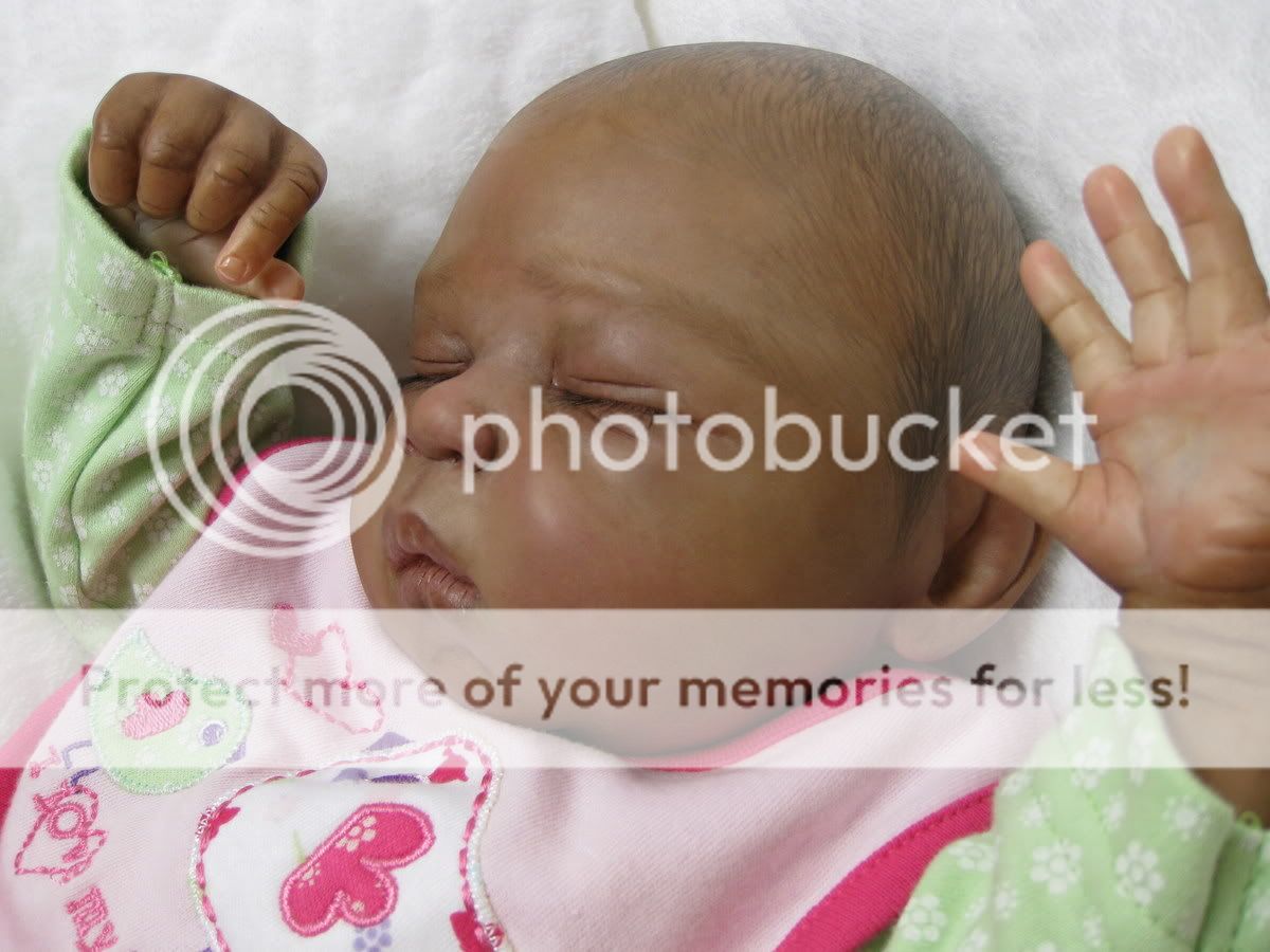 Hunnybear Nursery Reborn Doll Fake Baby AA Ethnic Biracial Baby Girl Zara