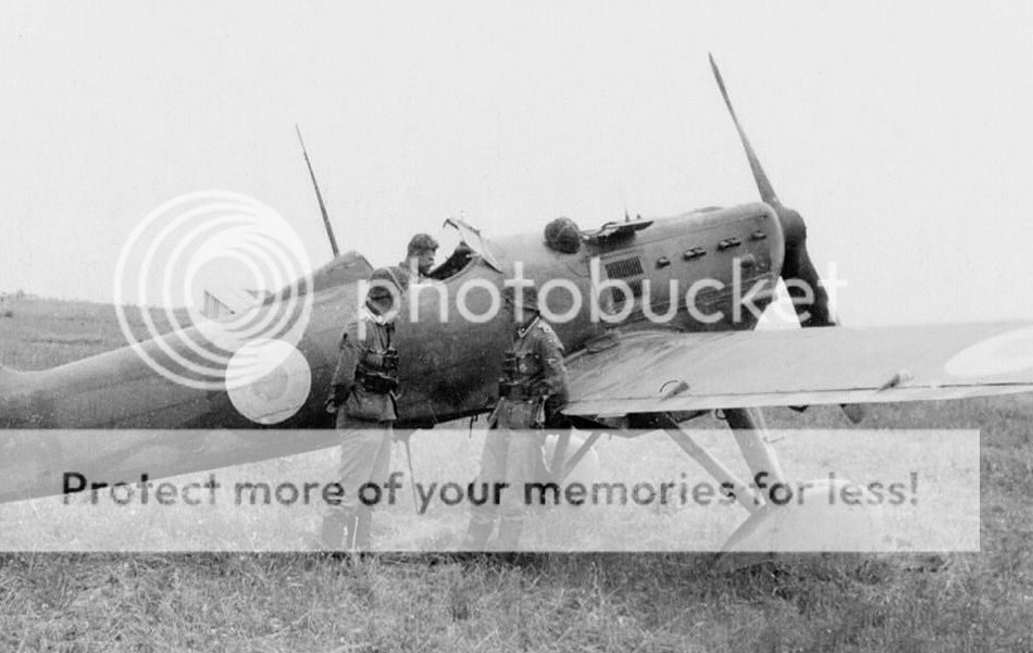  photo Bergman-01_zps777b75c2.jpg